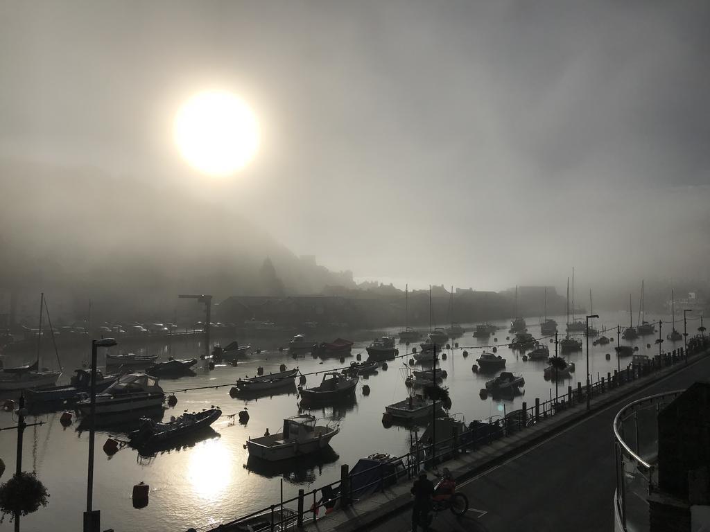 Shellseekers Looe